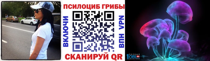 Галлюциногенные грибы мицелий  Тверь 